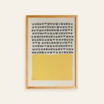 Shadow Medicine Package