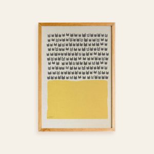 Shadow Medicine Package